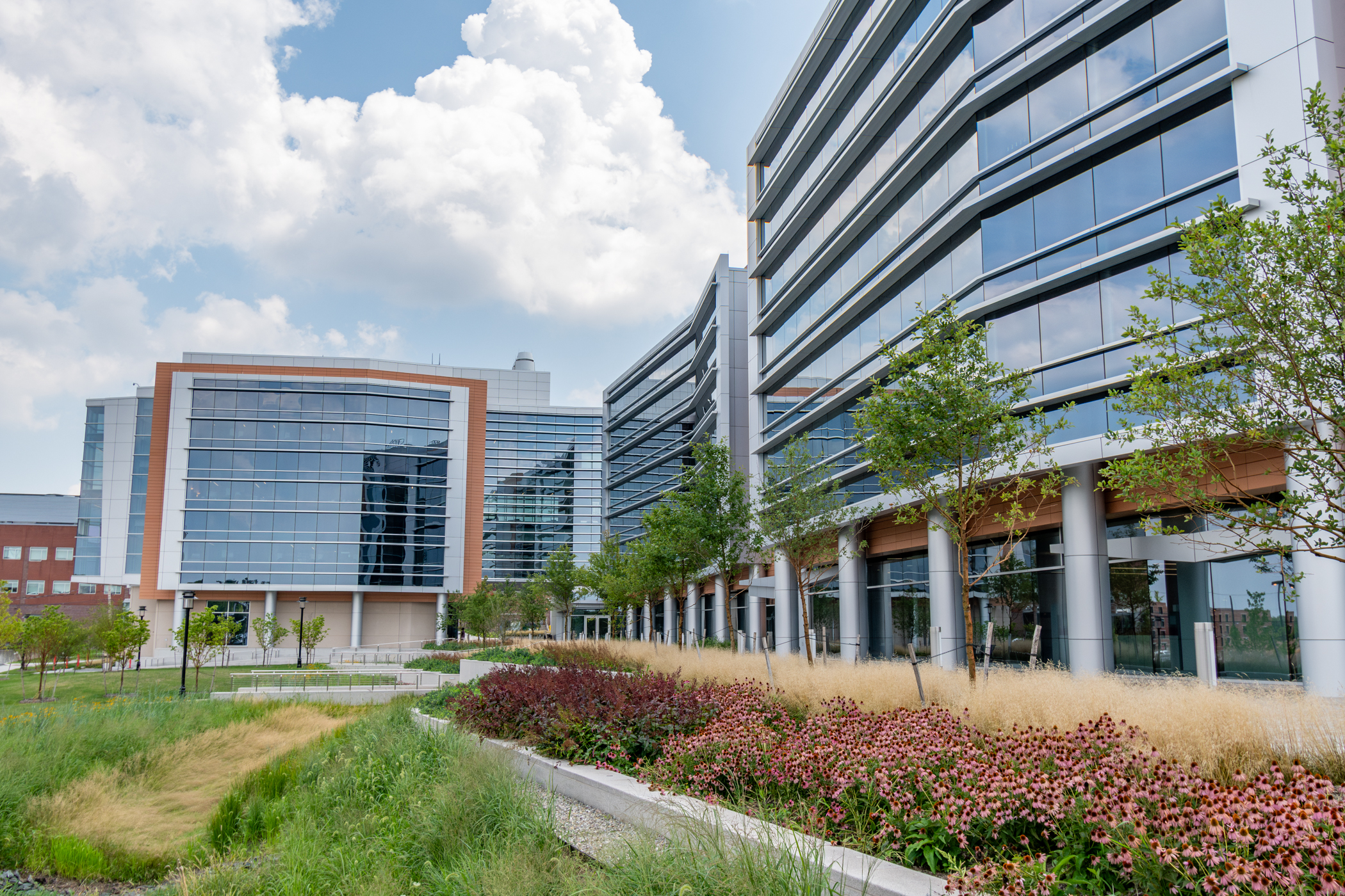 rutgers ccb building