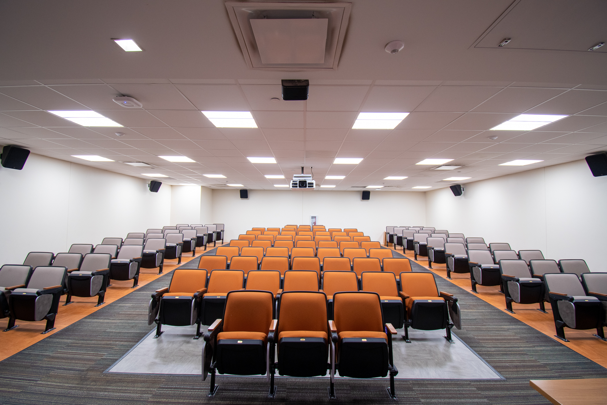 til-242_screening_room